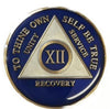 AA Medallion Blue Coin