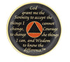AA Medallion Black and Orange Coin