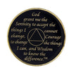 AA Medallion Black Coin